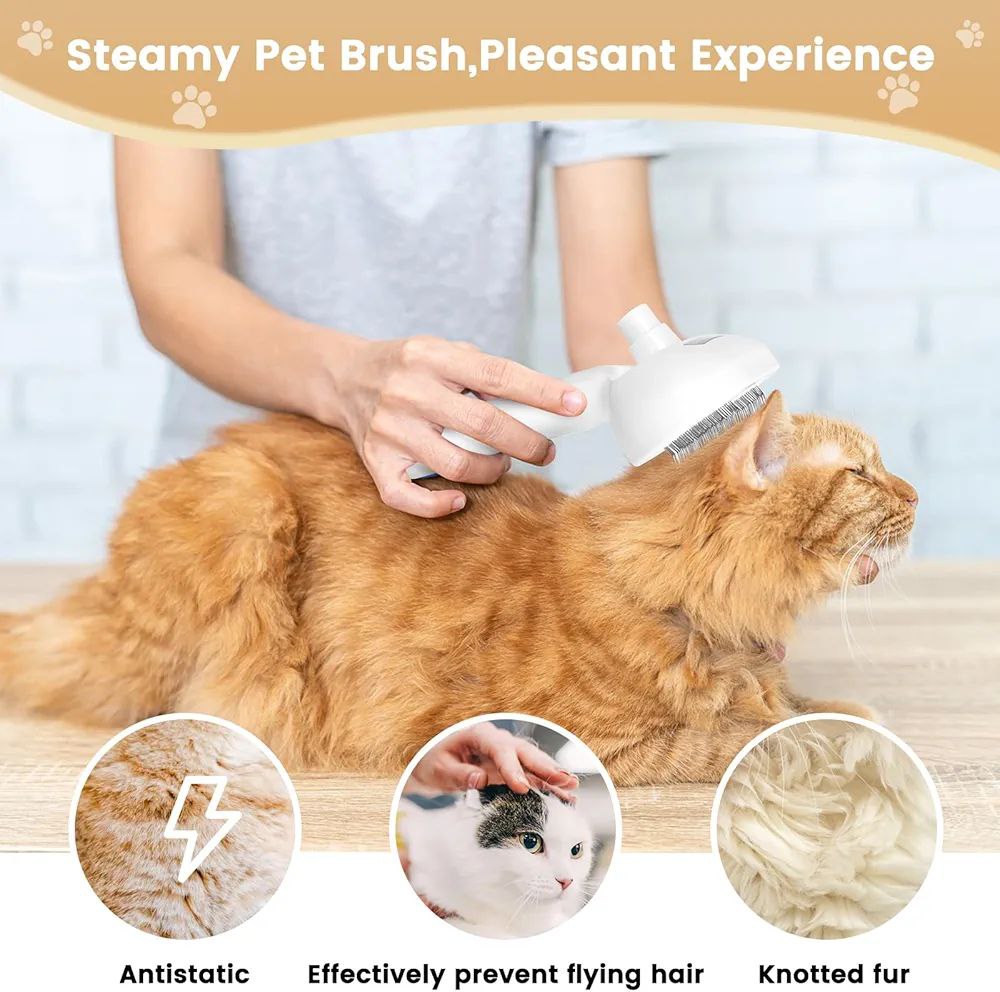 3 in 1 Cat Steam Brush